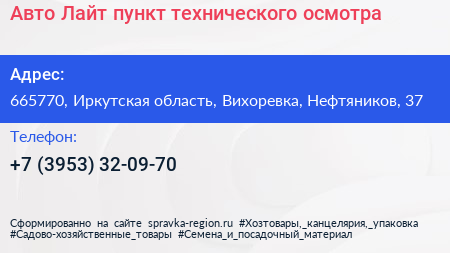Авто Лайт пункт технического осмотра - визитка
