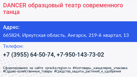 DANCER образцовый театр современного танца - визитка