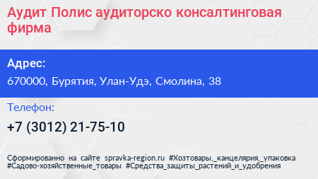 Аудит Полис аудиторско консалтинговая фирма - визитка