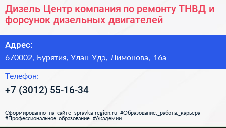 Дизель Центр компания по ремонту ТНВД и форсунок дизельных двигателей - визитка