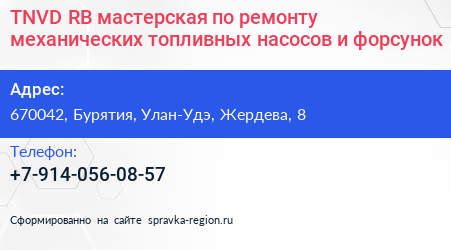 TNVD RB мастерская по ремонту механических топливных насосов и форсунок - визитка