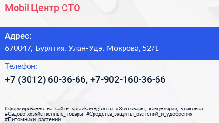 Mobil Центр СТО - визитка