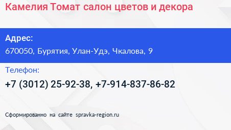 Камелия Томат салон цветов и декора - визитка