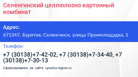Селенгинский целлюлозно картонный комбинат - визитка