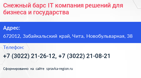 Снежный барс IT компания решений для бизнеса и государства - визитка