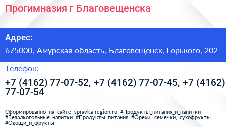 Прогимназия г Благовещенска - визитка