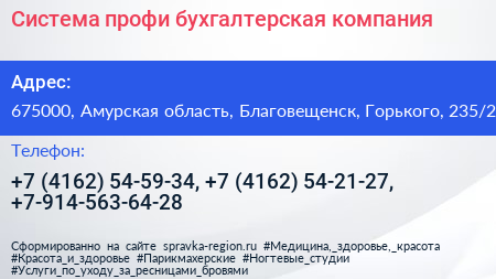 Система профи бухгалтерская компания - визитка