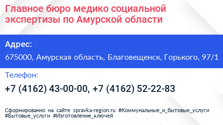 Главное бюро медико социальной экспертизы по Амурской области - визитка
