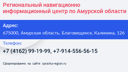 Региональный навигационно информационный центр по Амурской области - визитка