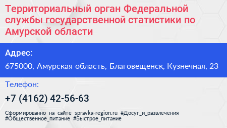 Территориальный орган Федеральной службы государственной статистики по Амурской области - визитка