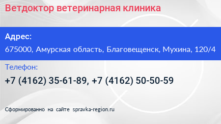 Ветдоктор ветеринарная клиника - визитка