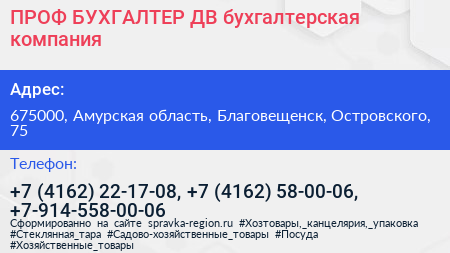 ПРОФ БУХГАЛТЕР ДВ бухгалтерская компания - визитка