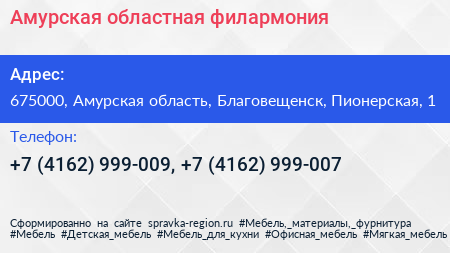 Амурская областная филармония - визитка