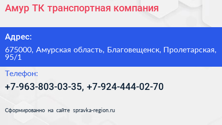 Амур ТК транспортная компания - визитка