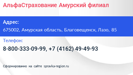 АльфаСтрахование Амурский филиал - визитка