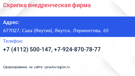 Скрипка внедренческая фирма - визитка