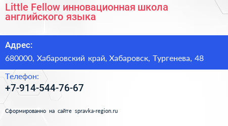 Little Fellow инновационная школа английского языка - визитка