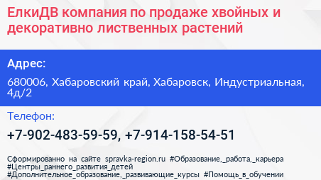 ЕлкиДВ компания по продаже хвойных и декоративно лиственных растений - визитка