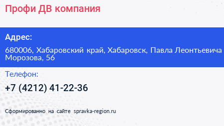 Профи ДВ компания - визитка