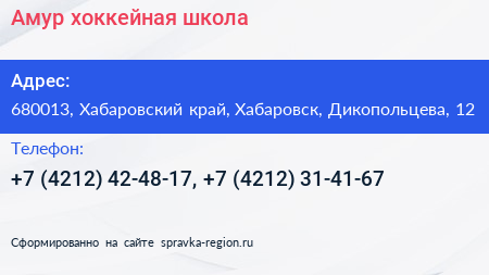 Амур хоккейная школа - визитка