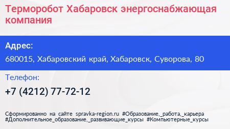 Терморобот Хабаровск энергоснабжающая компания - визитка