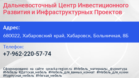 Дальневосточный Центр Инвестиционного Развития и Инфраструктурных Проектов - визитка