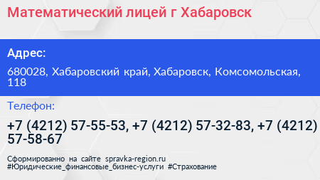 Математический лицей г Хабаровск - визитка