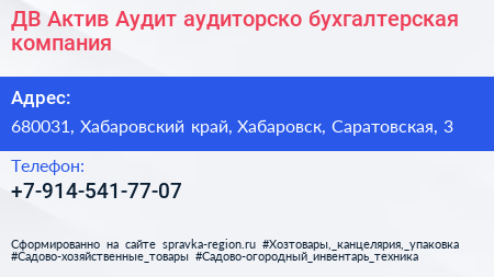 ДВ Актив Аудит аудиторско бухгалтерская компания - визитка