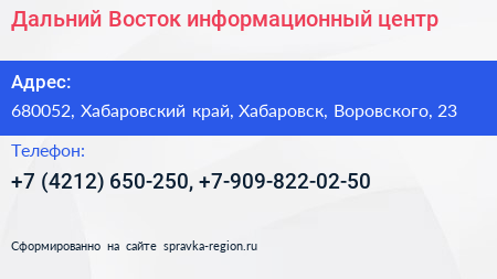 Дальний Восток информационный центр - визитка