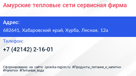 Амурские тепловые сети сервисная фирма - визитка