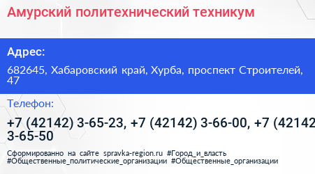 Амурский политехнический техникум - визитка