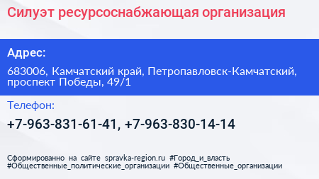 Силуэт ресурсоснабжающая организация - визитка