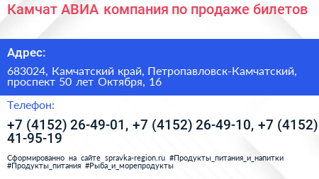 Камчат АВИА компания по продаже билетов - визитка