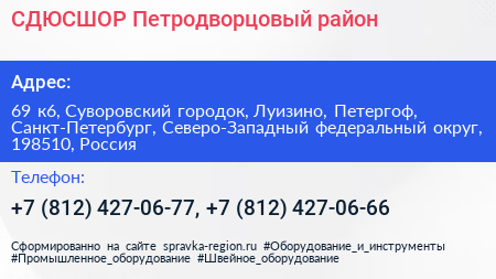 СДЮСШОР Петродворцовый район - визитка