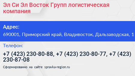 Эл Си Эл Восток Групп логистическая компания - визитка