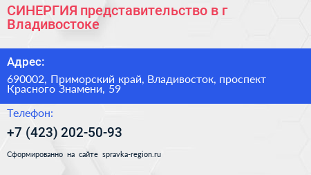 СИНЕРГИЯ представительство в г Владивостоке - визитка
