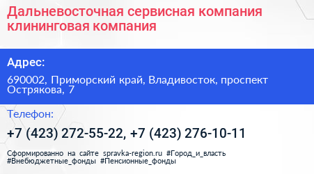 Дальневосточная сервисная компания клининговая компания - визитка