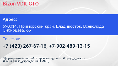 Bizon VDK СТО - визитка