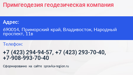 Примгеодезия геодезическая компания - визитка