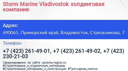 Storm Marine Vladivostok холдинговая компания - визитка