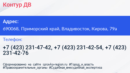 Контур ДВ - визитка