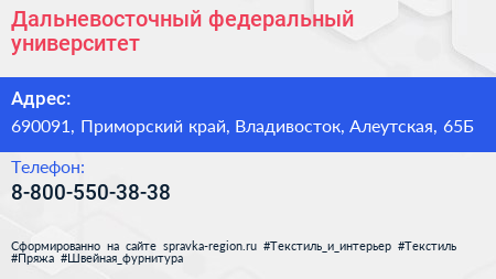 Нажмите, чтобы скачать визитку Дальневосточный федеральный университет - визитка