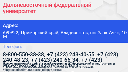 Дальневосточный федеральный университет - визитка