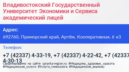 Владивостокский Государственный Университет Экономики и Сервиса академический лицей - визитка