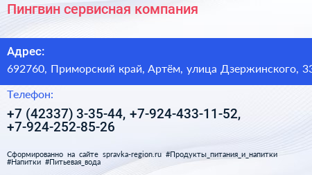 Пингвин сервисная компания - визитка