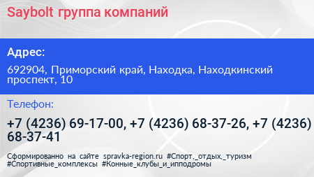 Saybolt группа компаний - визитка