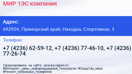 МИР 1ЭС компания - визитка