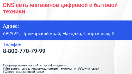 DNS сеть магазинов цифровой и бытовой техники - визитка