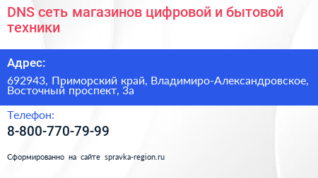 DNS сеть магазинов цифровой и бытовой техники - визитка