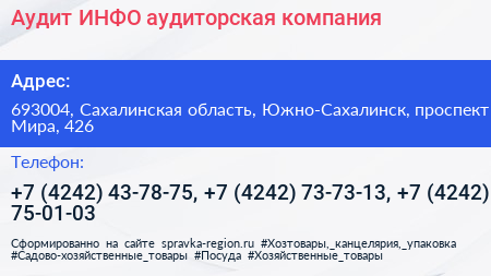 Аудит ИНФО аудиторская компания - визитка